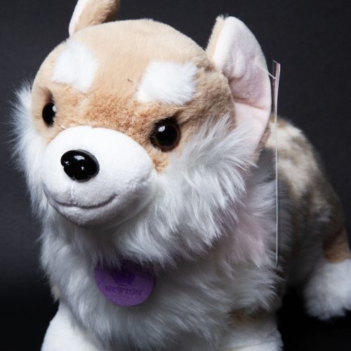 BridgertonCorgiPlush05