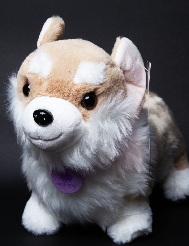 BridgertonCorgiPlush05