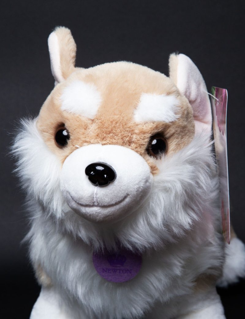 BridgertonCorgiPlush07