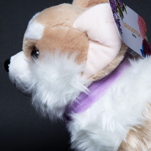 BridgertonCorgiPlush08